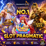Review Provider Slot